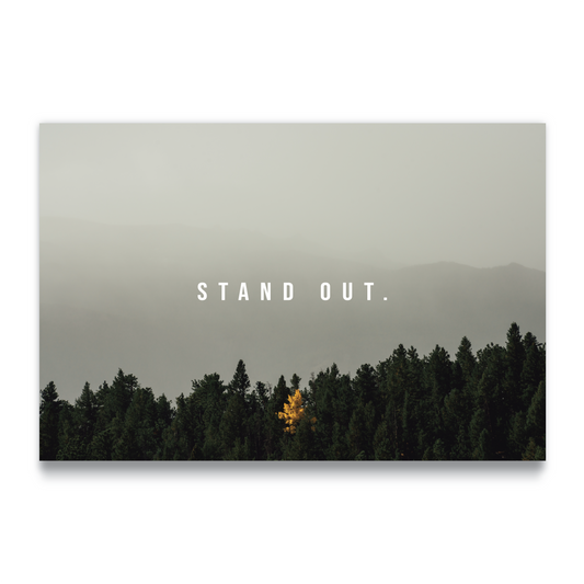 STAND OUT